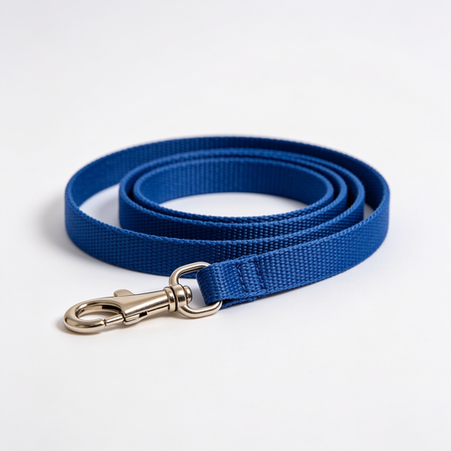 barkeleypets.com Nylon Dog Leash Strong, Durable, Traditional Style Lead with Easy to Use Bolt Snap for Small, Medium and Large Dogs 3/4" x 6', Royal Blue